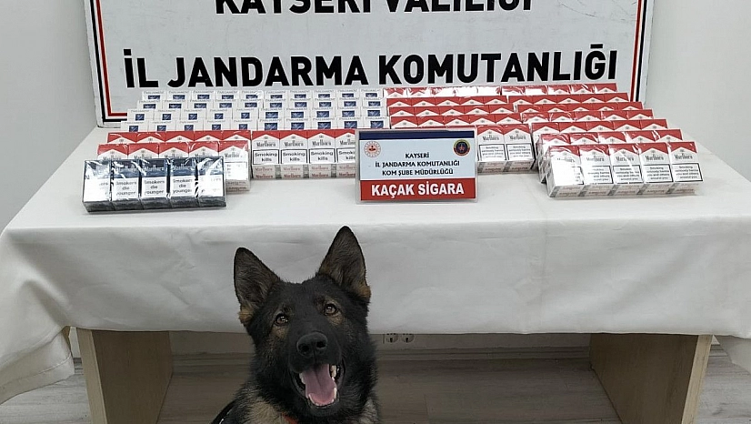 280 paket kaçak sigara ele geçirildi