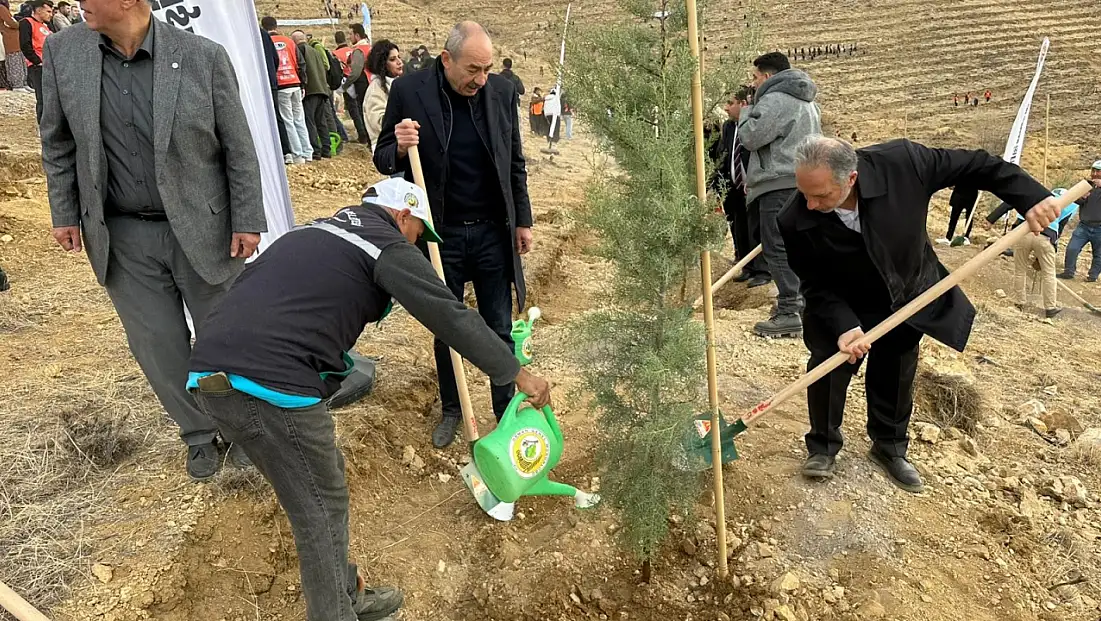 Ali Dağı'nda 1111 fidan toprakla buluştu