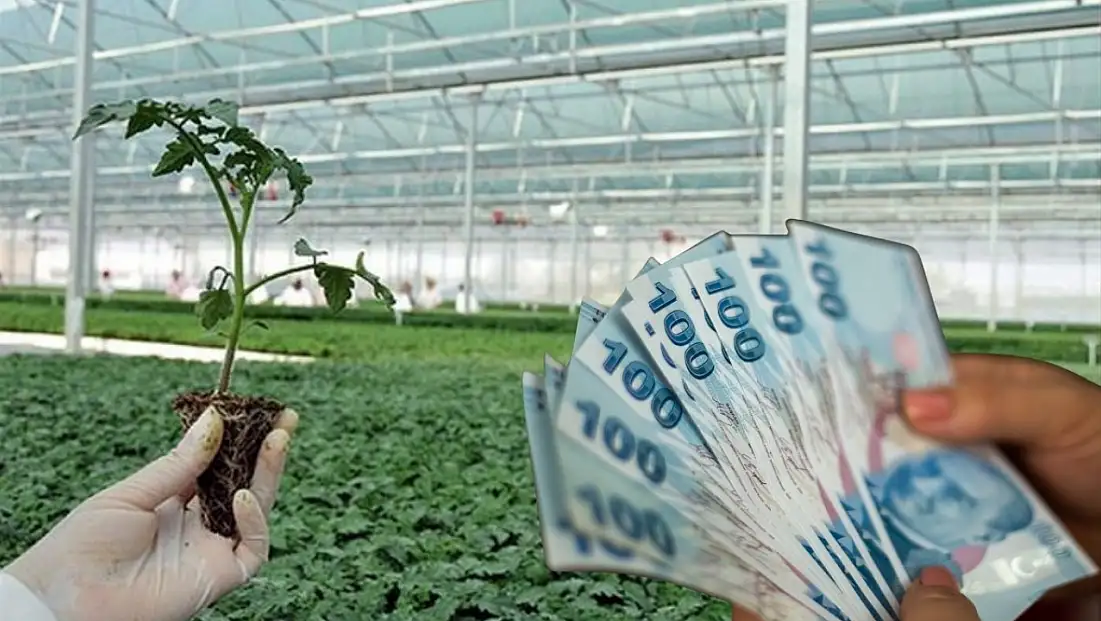 Bakan Yumaklı duyurdu: 226 milyon lira hesaplarda