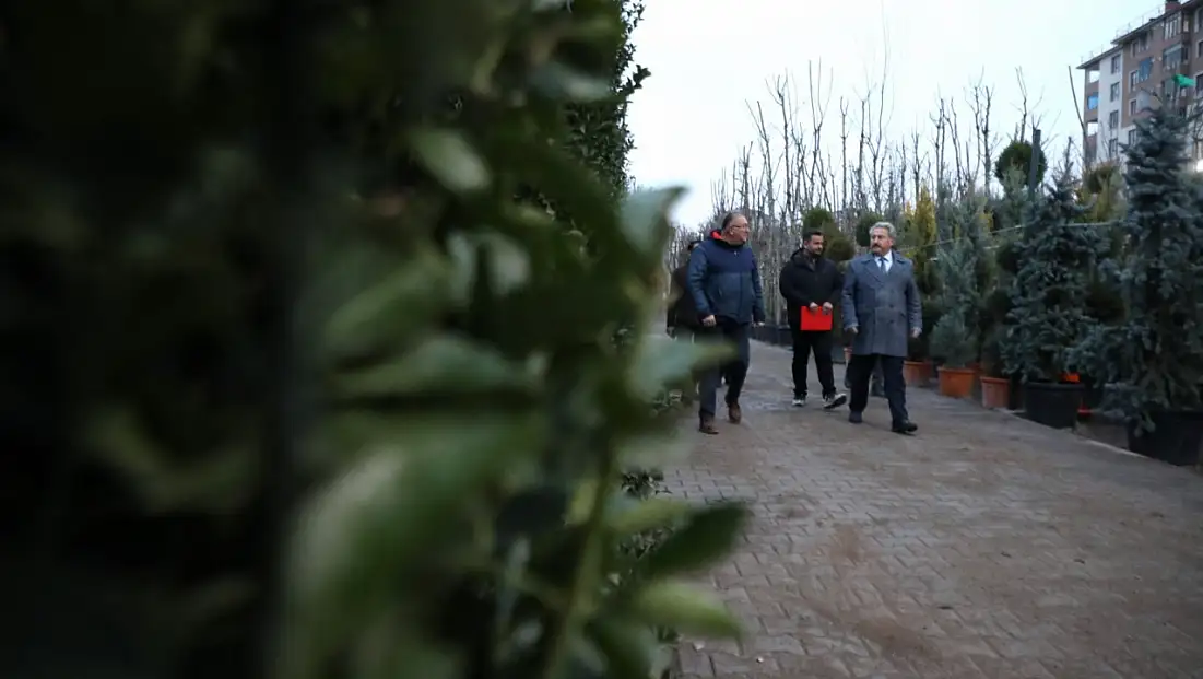 Başkan yerinde inceledi! İlçeye binlerce getirildi