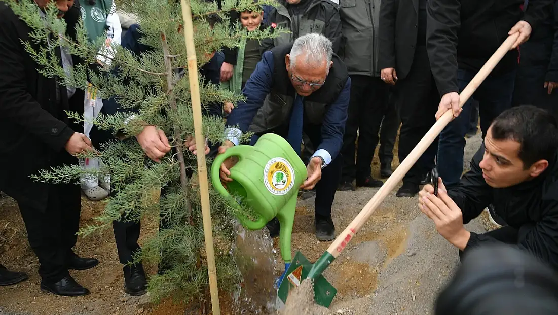 Bayramhacı'da bir günde 35 bin fidan dikildi!
