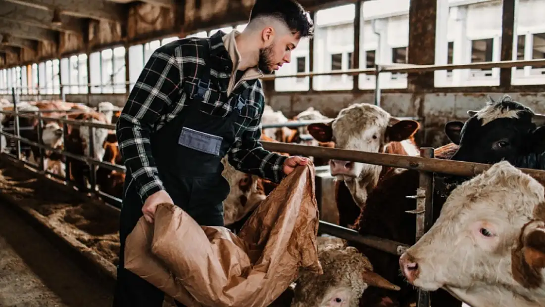 Besi yemi, süt yemi ve kömür alacaklar dikkat! Satışlar başladı