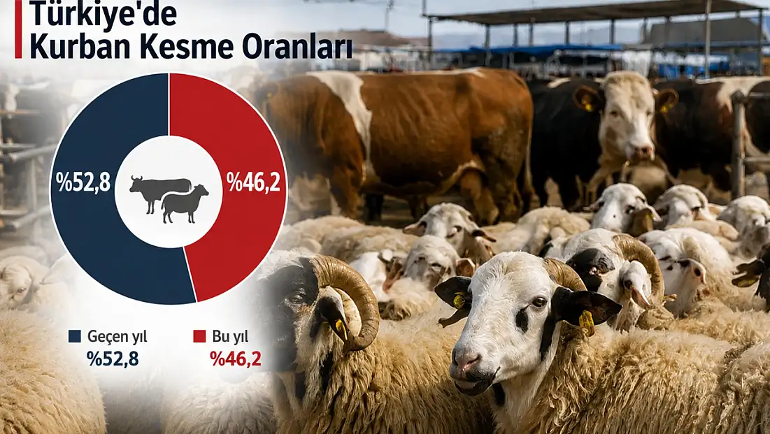 Bir yılda ne değişti? İşte vatandaşların kurban kesme oranları!