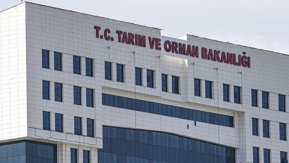 Bisküvi ve krakerde yeni dönem!