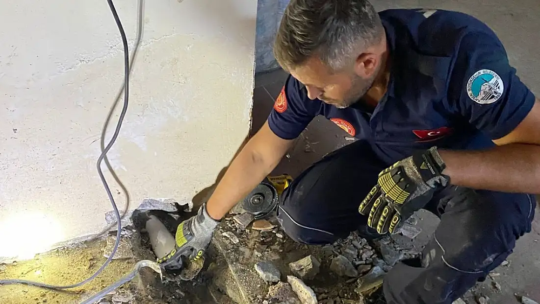 Borunun içindeki yavru kedi için seferber oldular