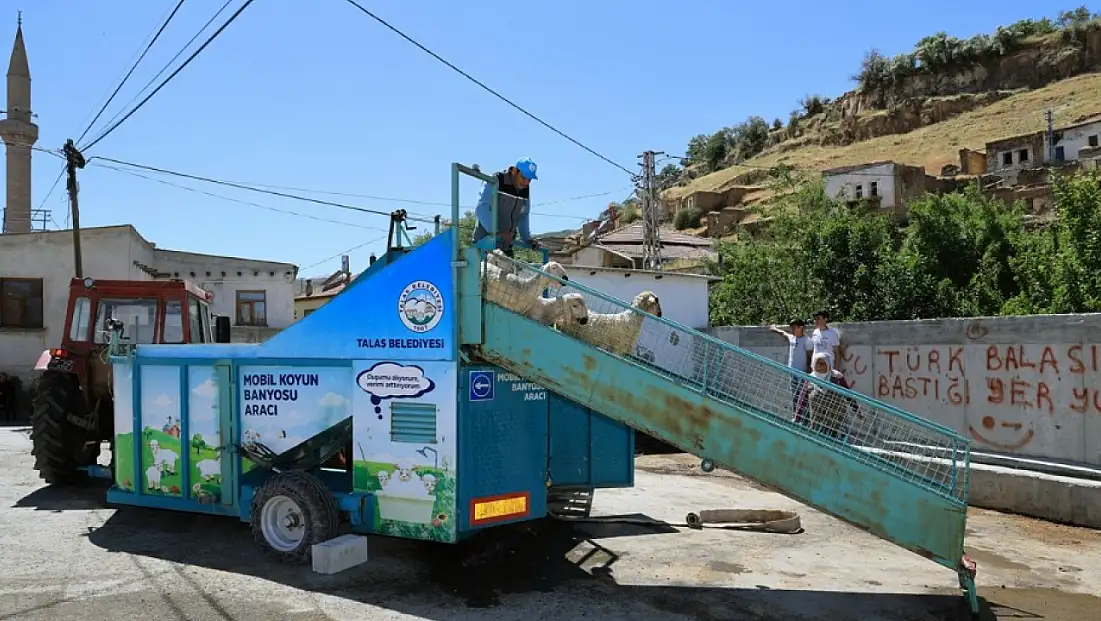 Bu araç mahalle mahalle dolaşıyor, sürüleri parazitlerden arındırıyor