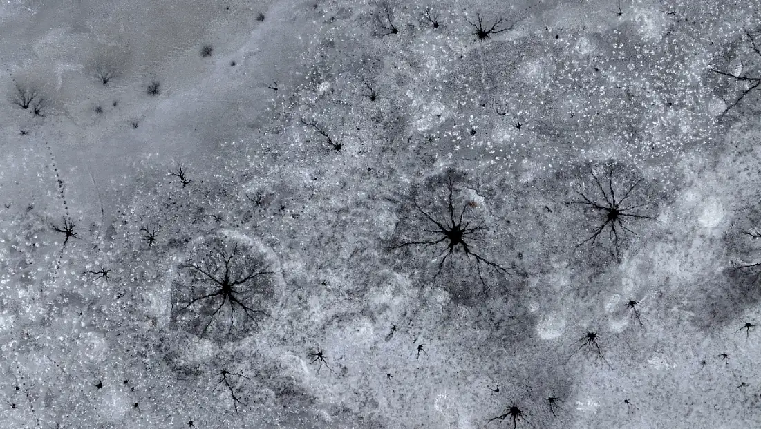 Bu görüntüler Kayseri’den: Gümüşören Barajı’nda göz bebeklerini andıran buzlar oluştu