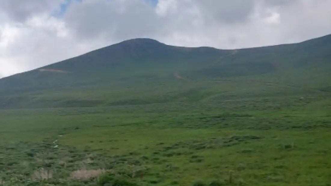 Develi yaylalarında beklenmedik bereket: Doğa adeta coştu