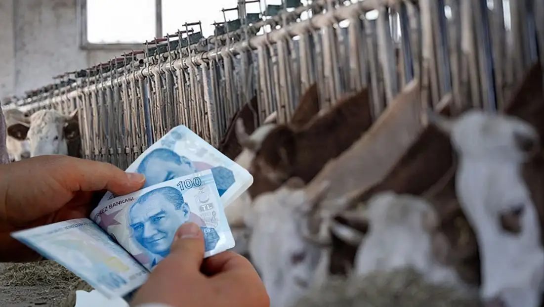 Dikkat! Destek ödemeleri için süreç başladı