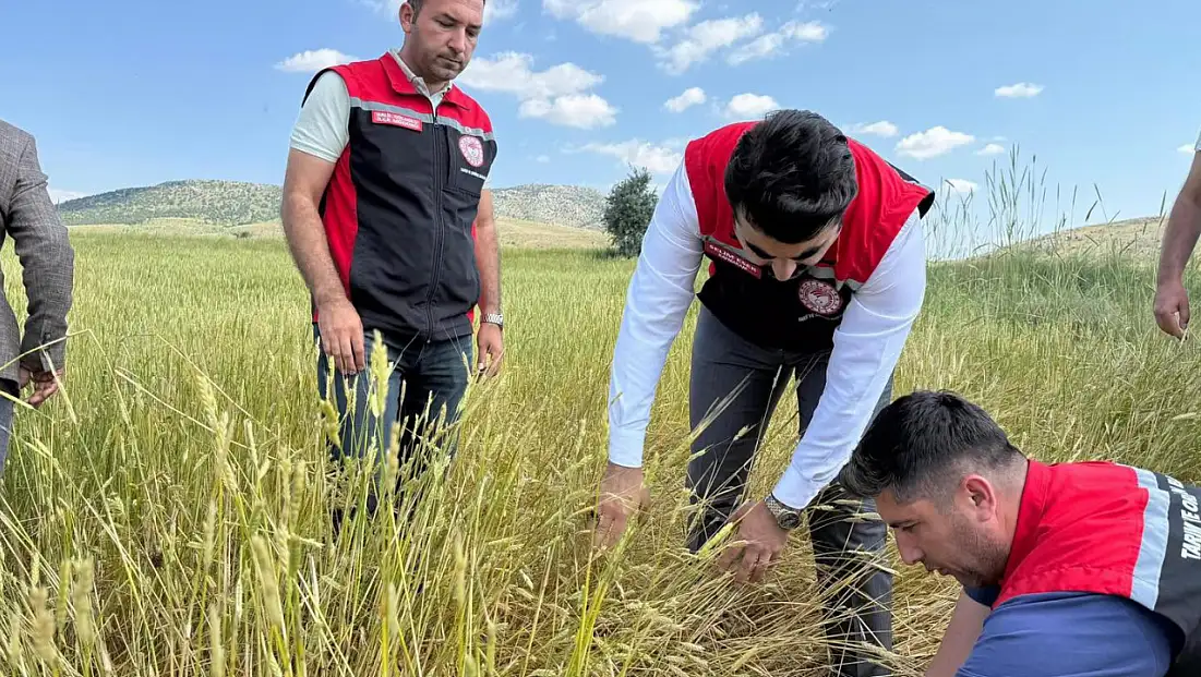 Dolunun vurduğu arazilerde incelemeler sürüyor