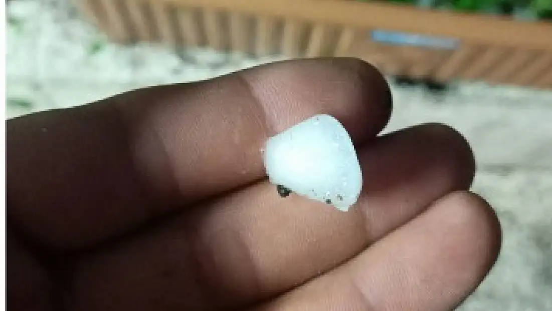 Gesi'yi dolu vurdu! Ağaçlar ve meyveler zarar gördü
