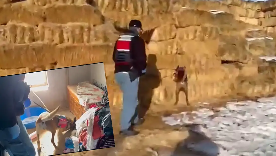 Jandarma Develi'de 4 evi birden bastı!