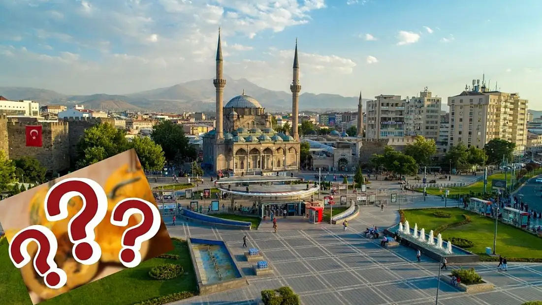 Kabuğu yok, 105 günde hasat ediliyor! Siyah altın Kayseri’de neden üretilmiyor?