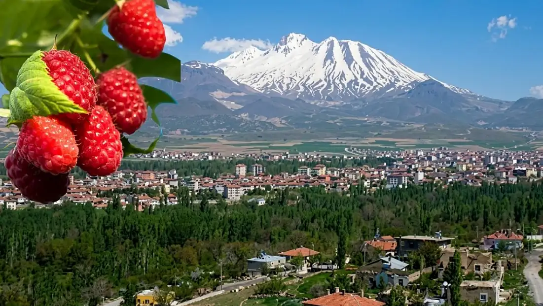 Kalp sağlığına birebir meyve Develi’de yetişiyor!