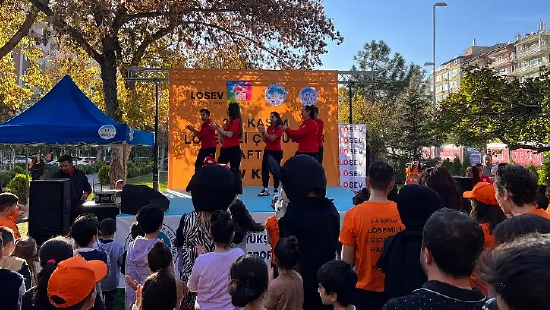 Kayseri'de 1 Kasım'da şenlik var