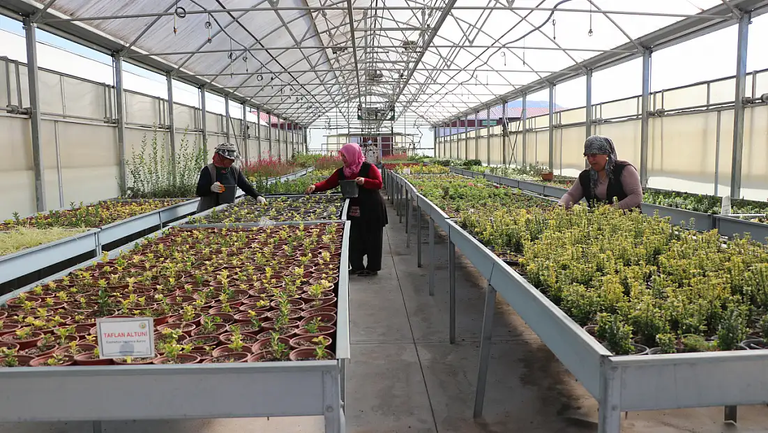 Kayseri'de 1 milyon 200 bin üretildi! Bakın nerede kullanılacak