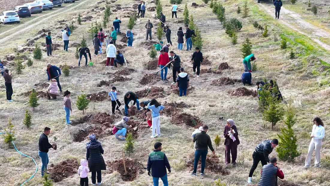 Kayseri’de 500 fidana isim künyesi: 100. yıla özel buluşma