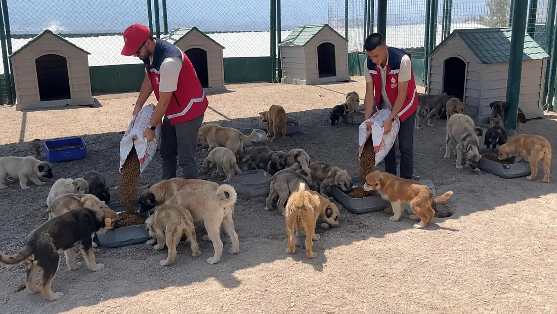 Kayseri’de anlamlı etkinlik: Atıklar mamaya dönüştü