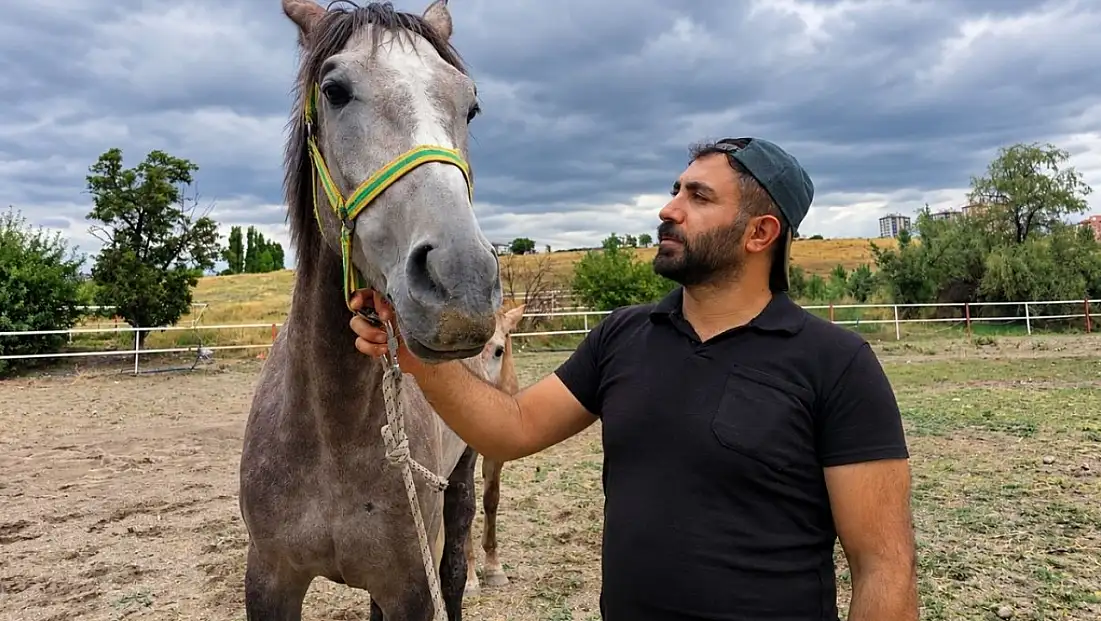 Kayseri’de atlarla geçen bir hayat: Ata bağlanan vazgeçemiyor
