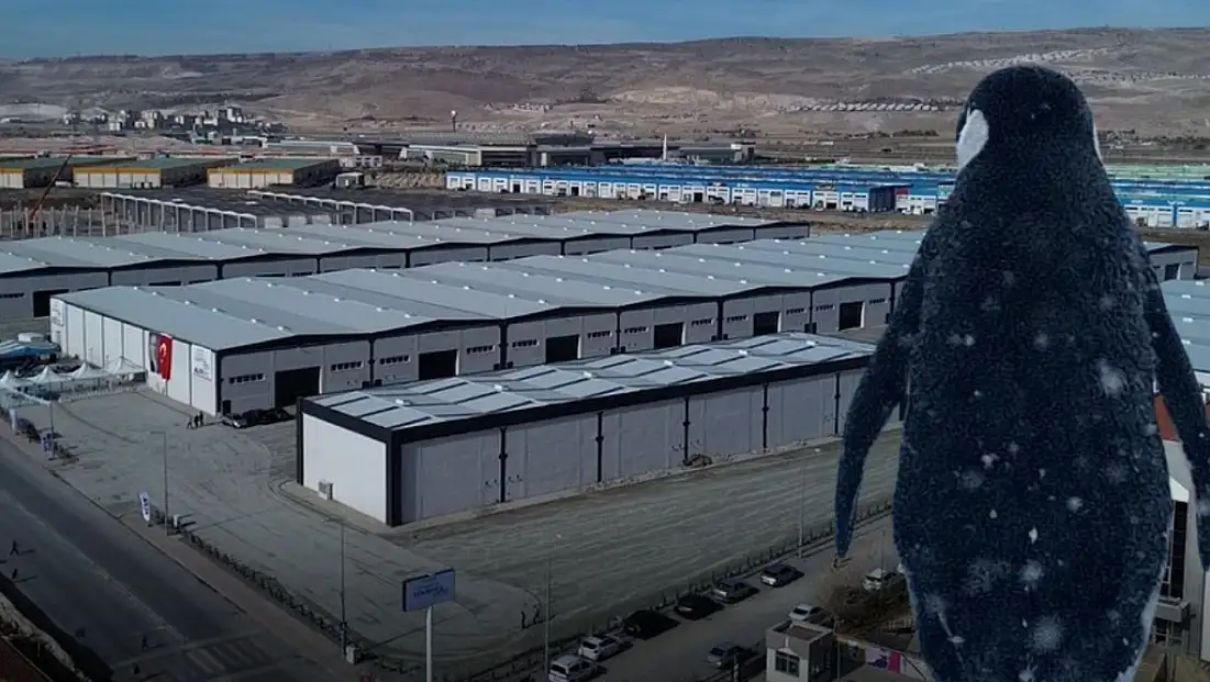 Kayseri'de Başkan 'Merak etmeyin' diyerek paylaştı! Herkesin konuştuğu penguen bakın nereye geldi?