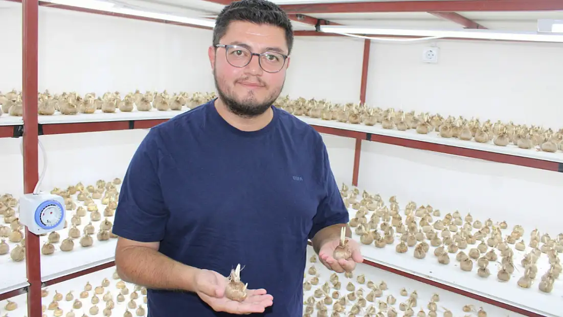 Kayseri’de bir ilk! Kilogramı 900 bin lira olan safranı üretmeye başladı