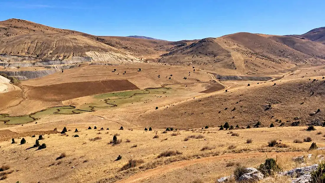 Kayseri'de çiftçileri bezdirdiler! Araziye çıkıldı, 75'i vuruldu