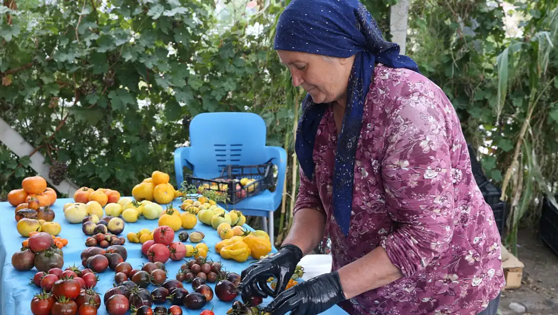 Kayseri’de çoğaltıyor, Türkiye’ye ücretsiz gönderiyor