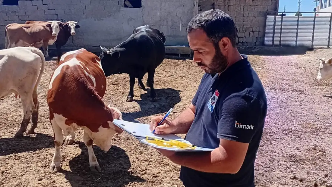 Kayseri'de dikkat çeken artış! Sayı 125 bine yükseldi
