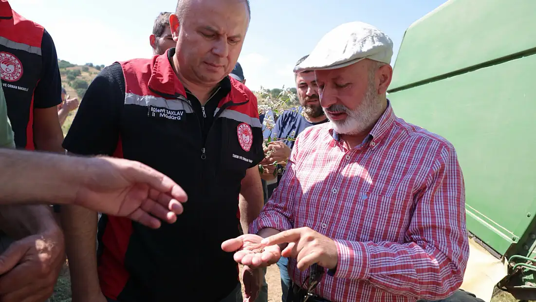 Kayseri’de ilk kez hasat edildi! Karabuğday çiftçiye yeni kapı açacak