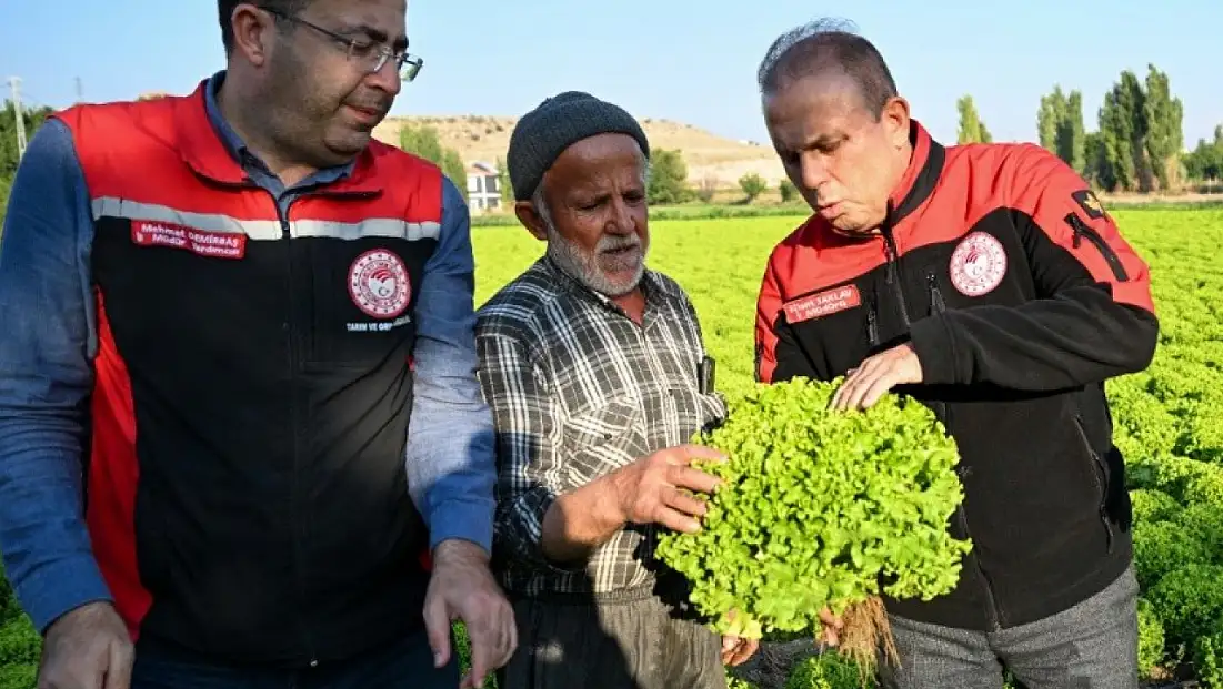 Kayseri’de kabak, marul ve yeşil soğan üretimine yakın takip