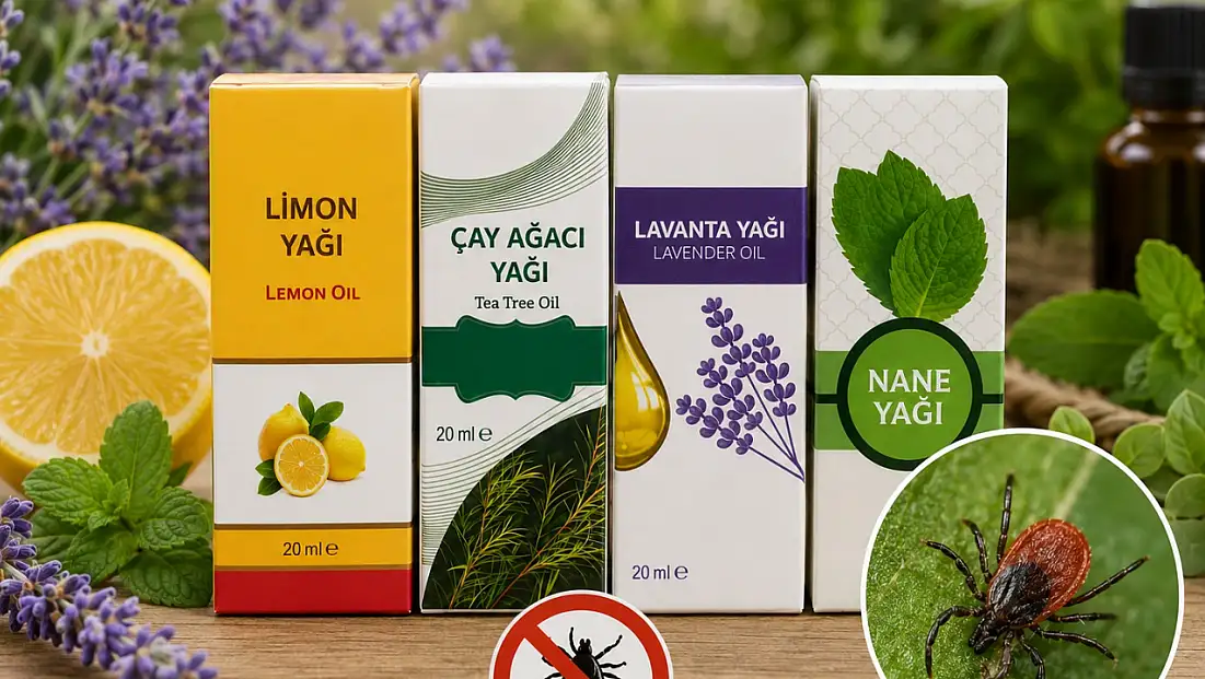 Kayseri’de keneye doğal çözüm! Kokusunu alan yaklaşamıyor!