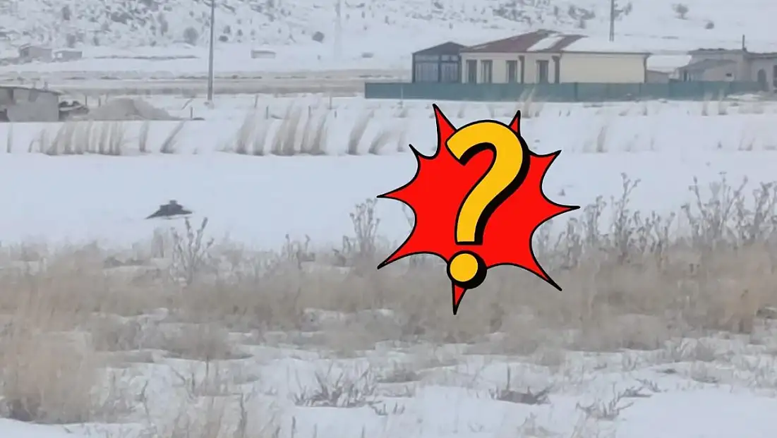 Kayseri’de köpeği parçalamıştı! Bir ilçede daha görüldü