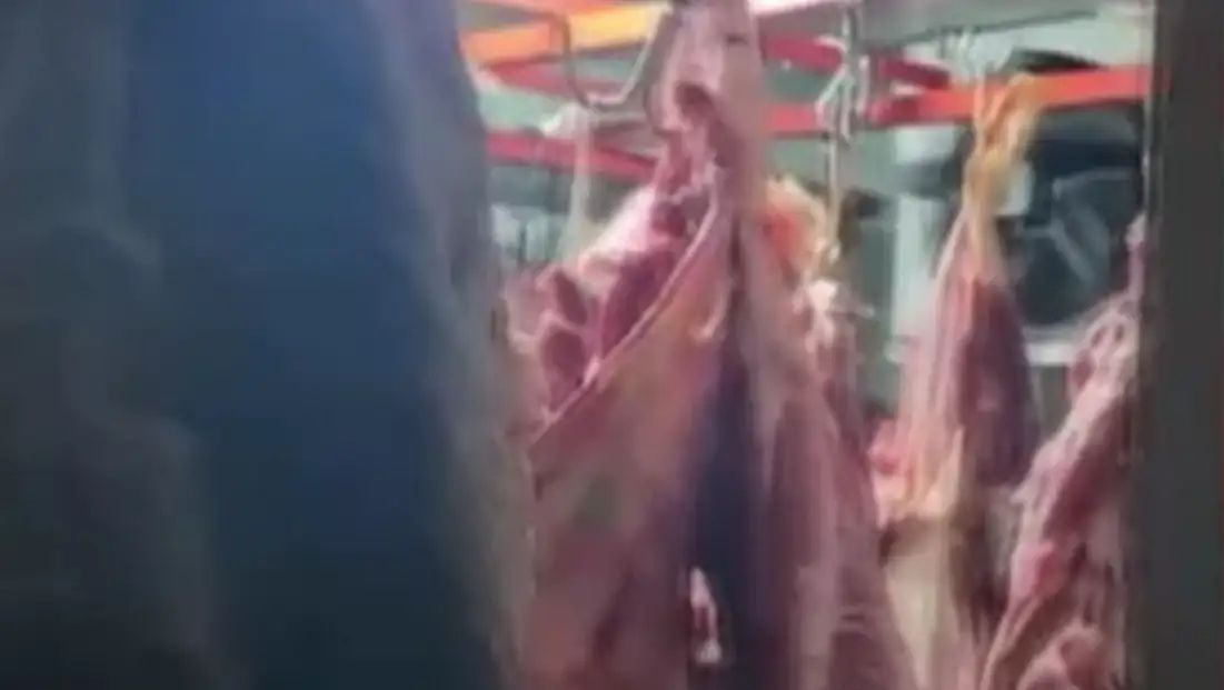 Kayseri'de mide bulandıran görüntüler! Ahırın içinde bulundu