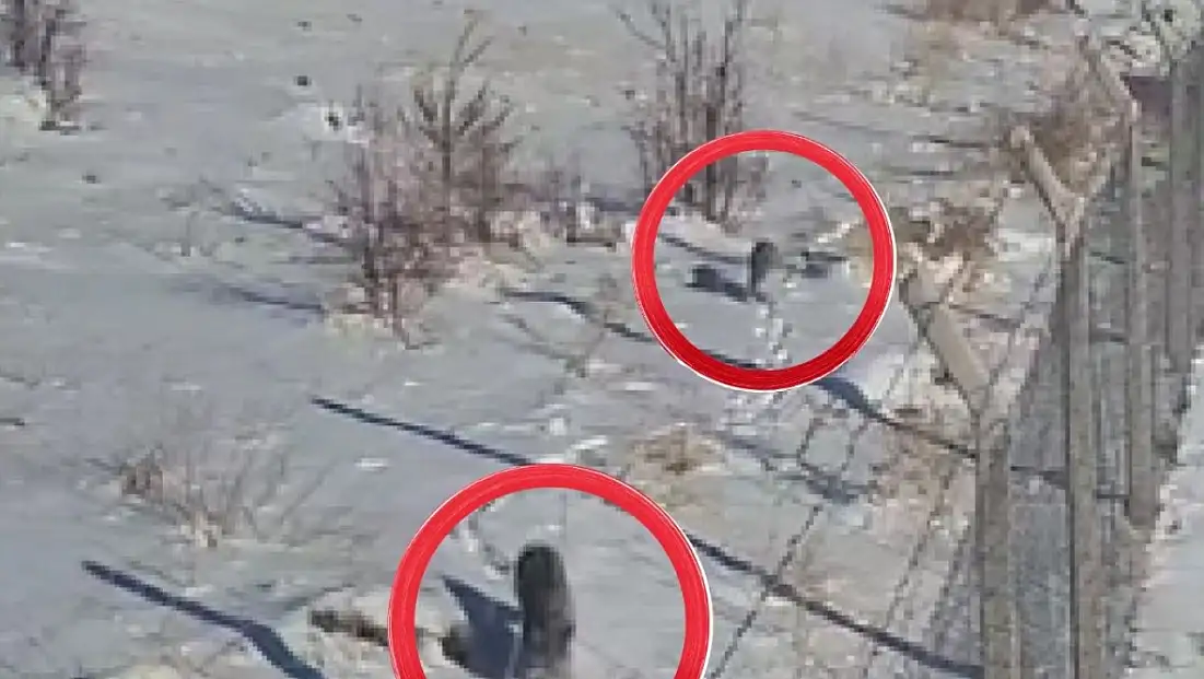 Kayseri'de 'Ormanın Hayaletleri' görüntülendi