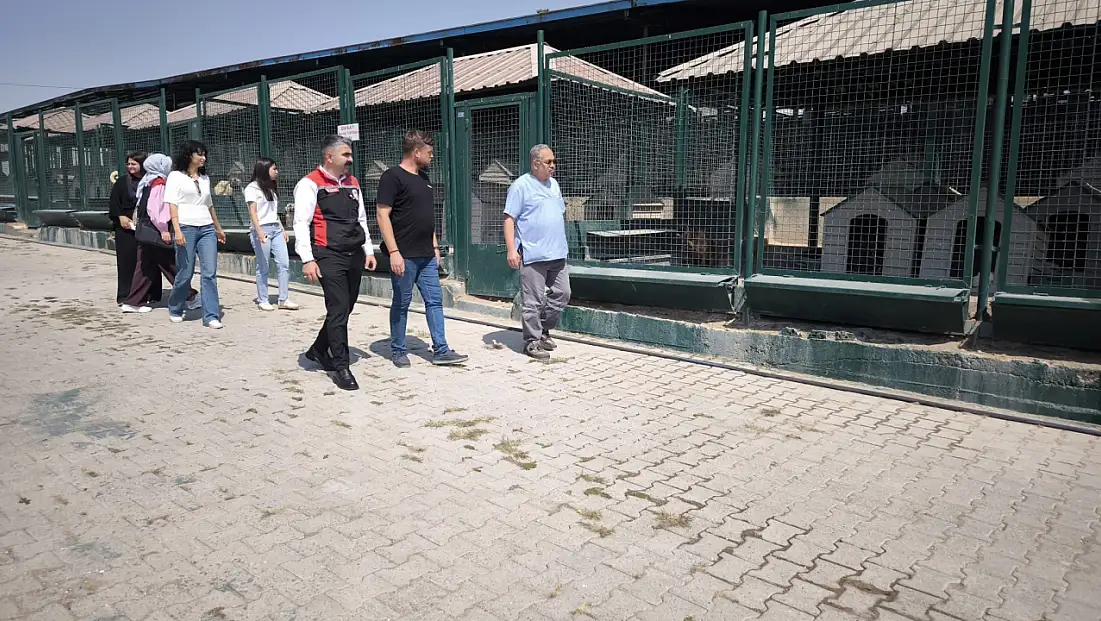 Kayseri'de salgın hastalık tehlikesine karşı kritik hamle!