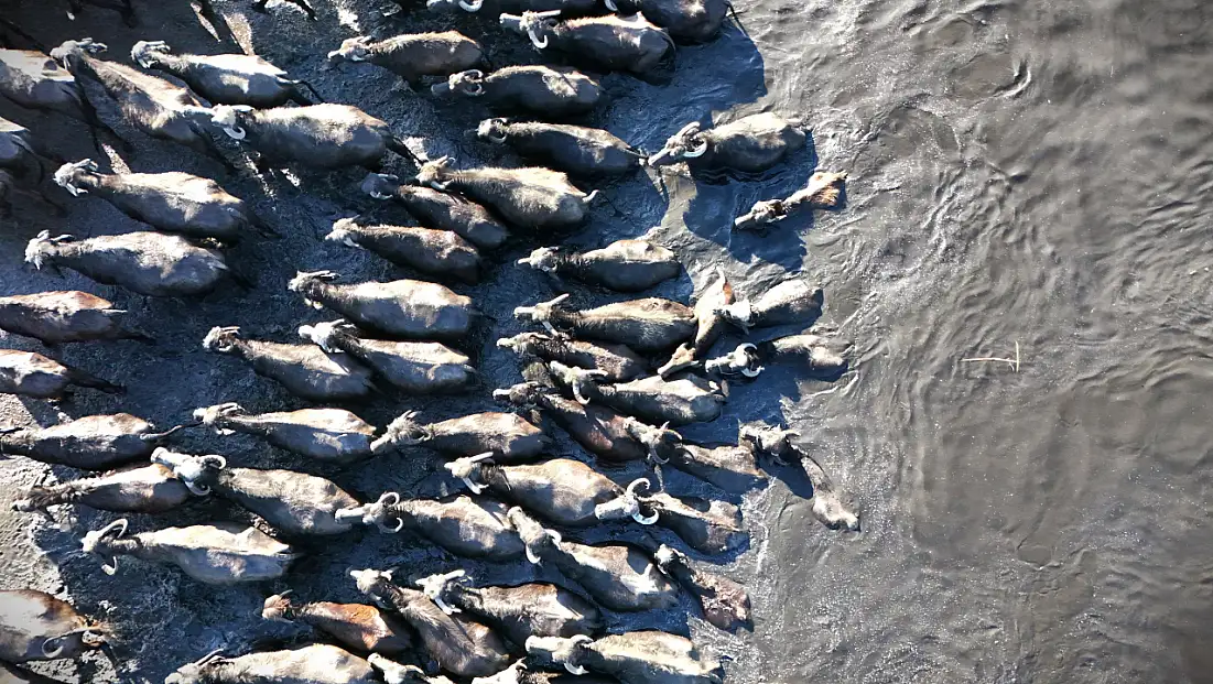 Kayseri'de sıcaklıklar -15 dereceyi gösterdi! Hürmetçi Sazlığı'ndaki manzara büyüledi