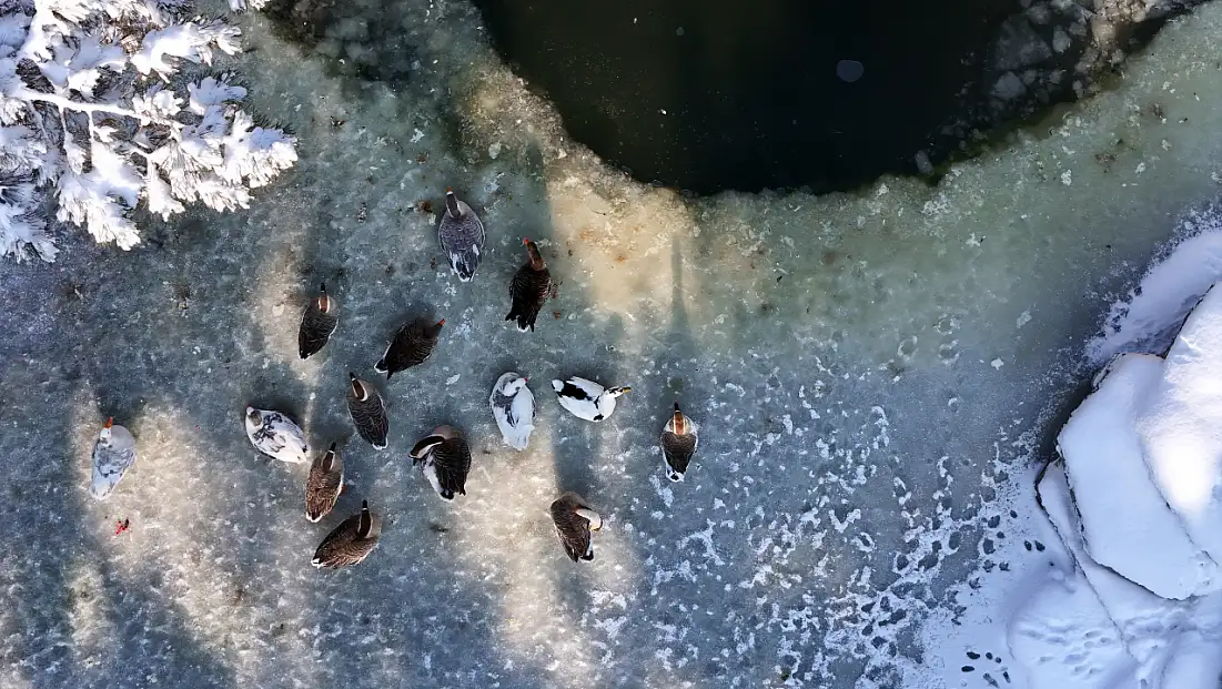 Kayseri'de sular buz tuttu