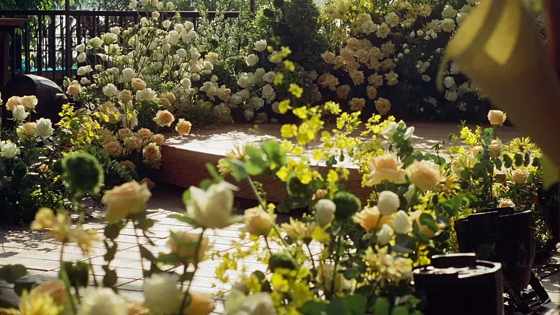 Kayseri'de yeni festival duyuruldu! Rengarenk olacak