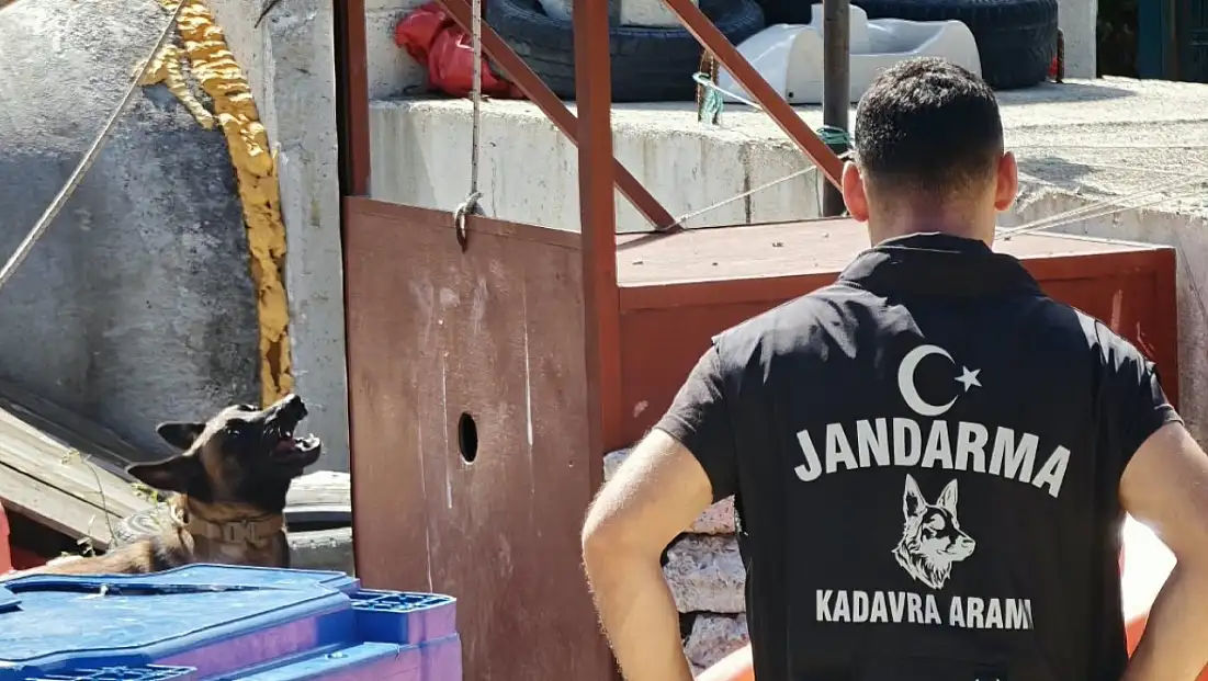 Kayseri ekipleri K-9 enkaz eğitiminde yer aldı: 70 arama köpeğiyle tatbikat!