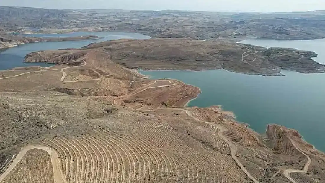 Kayseri'nin denizi yeşilleniyor: 5 milyon fidan toprakla buluşuyor.