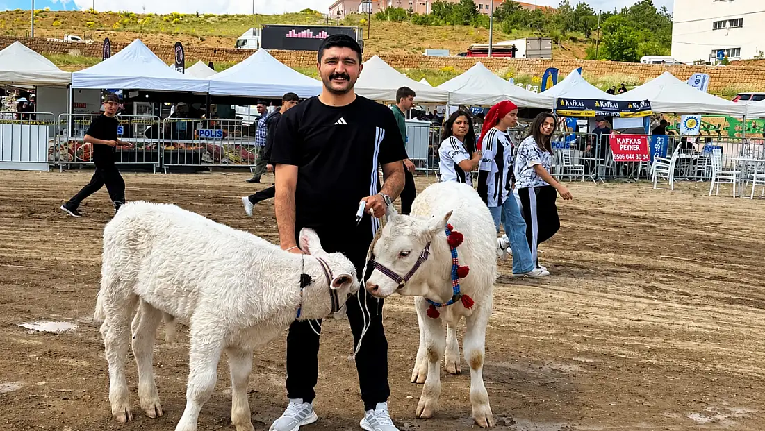 Kayseri’nin en güzel buzağısı belli oldu!