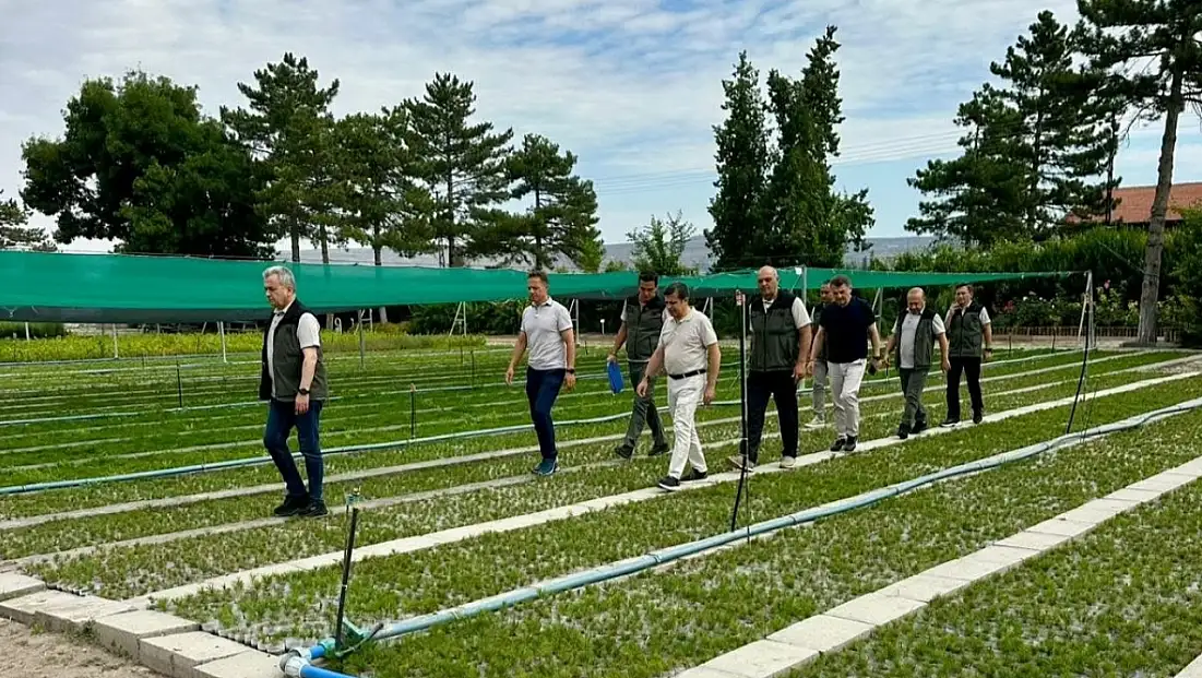 Kayseri'nin fidanlıklarına İbrahim Yüzer'den inceleme