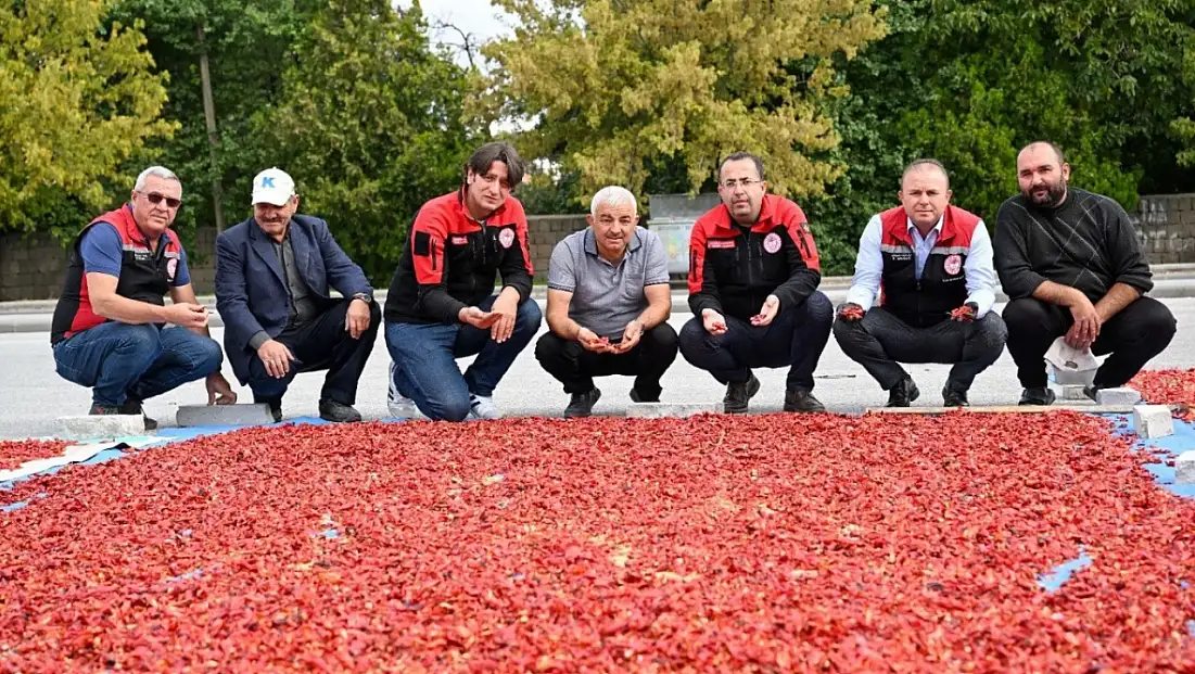 Kayseri’nin tescilli lezzeti için sahaya indiler: Üreticiler taleplerini anlattı