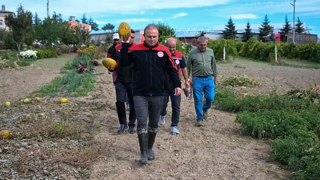 Kayseri Tarım Müdürlüğü Talas’ta hayvancılık ve üretim alanlarını inceledi