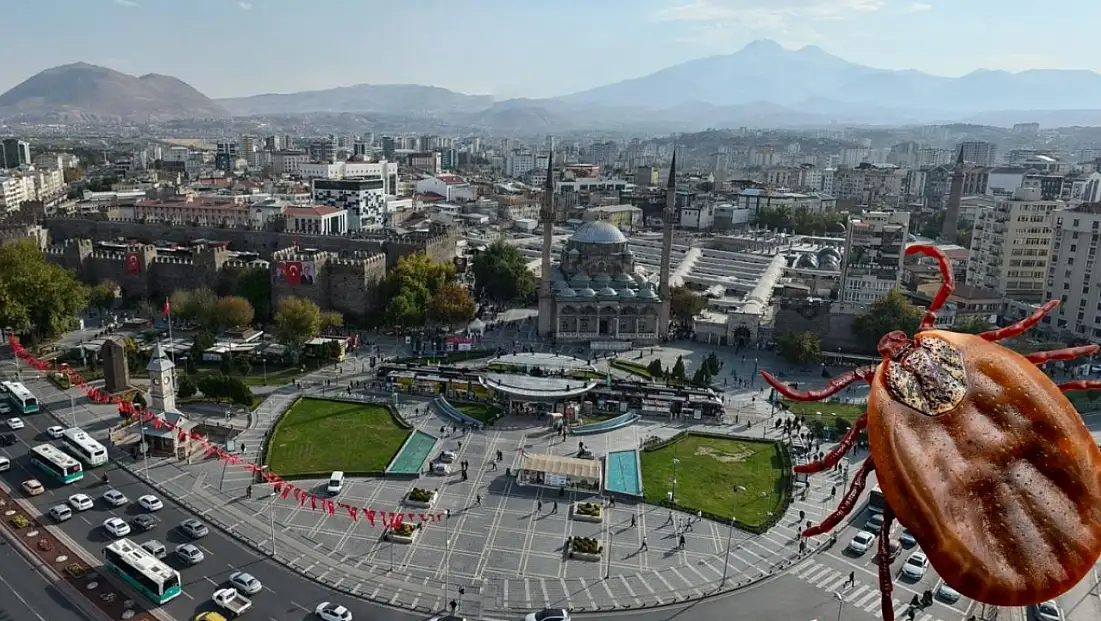 Kayseri ve çevresinde kene alarmı! En riskli alanlar belli oldu