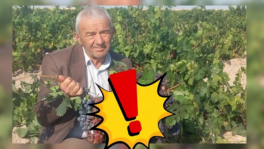 Kayseri’ye 112 kilometre uzaklıktan geliyor! Pazarın gözdesi oldu