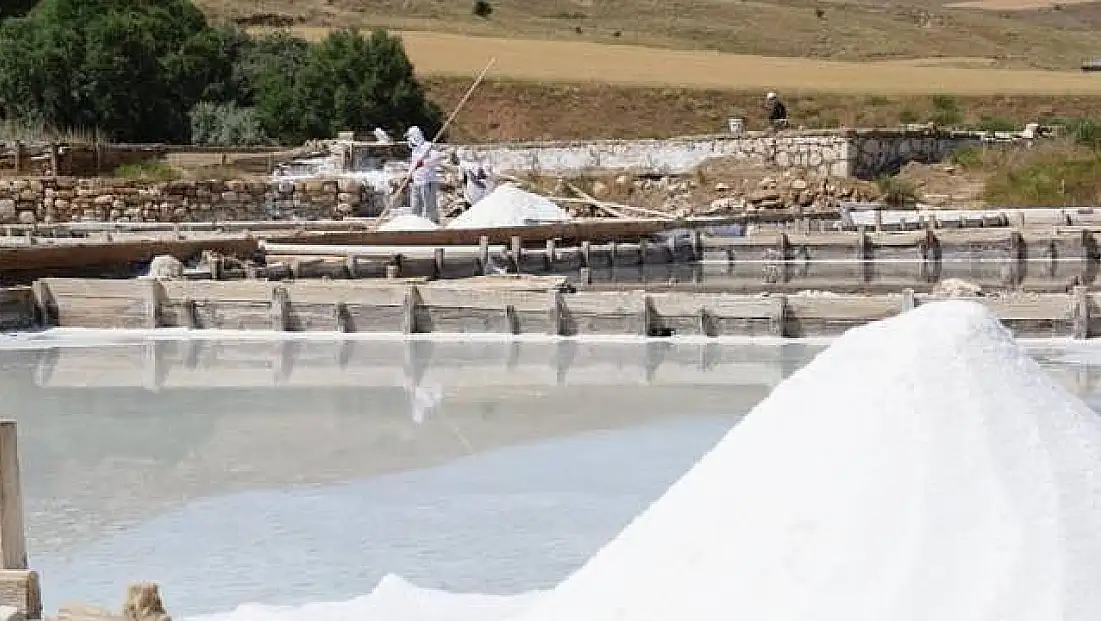 Kayseri’ye 4 bin ton beyaz altın alınacak!