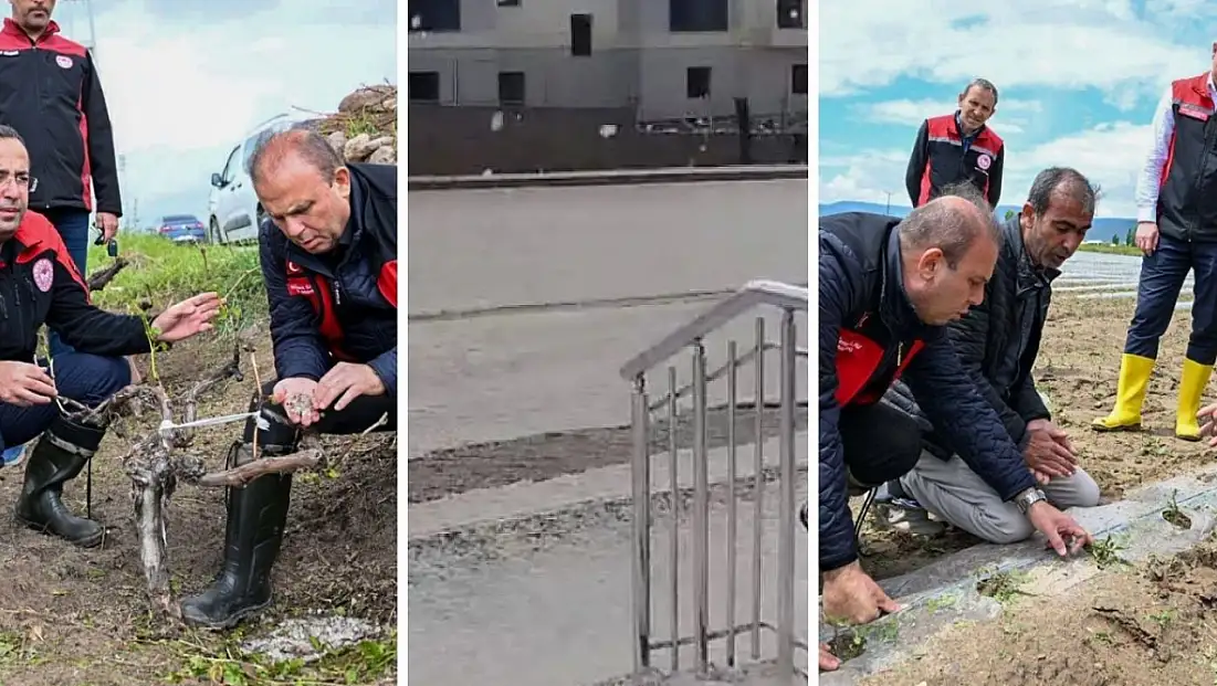 Kayseri’yi dolu vurdu! İl Müdürü’nden yerinde inceleme