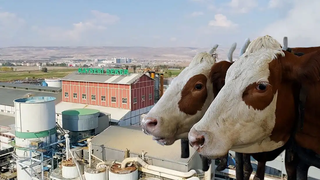 Kayserili şirketten yatırım iptali! O proje planlardan çıkarıldı