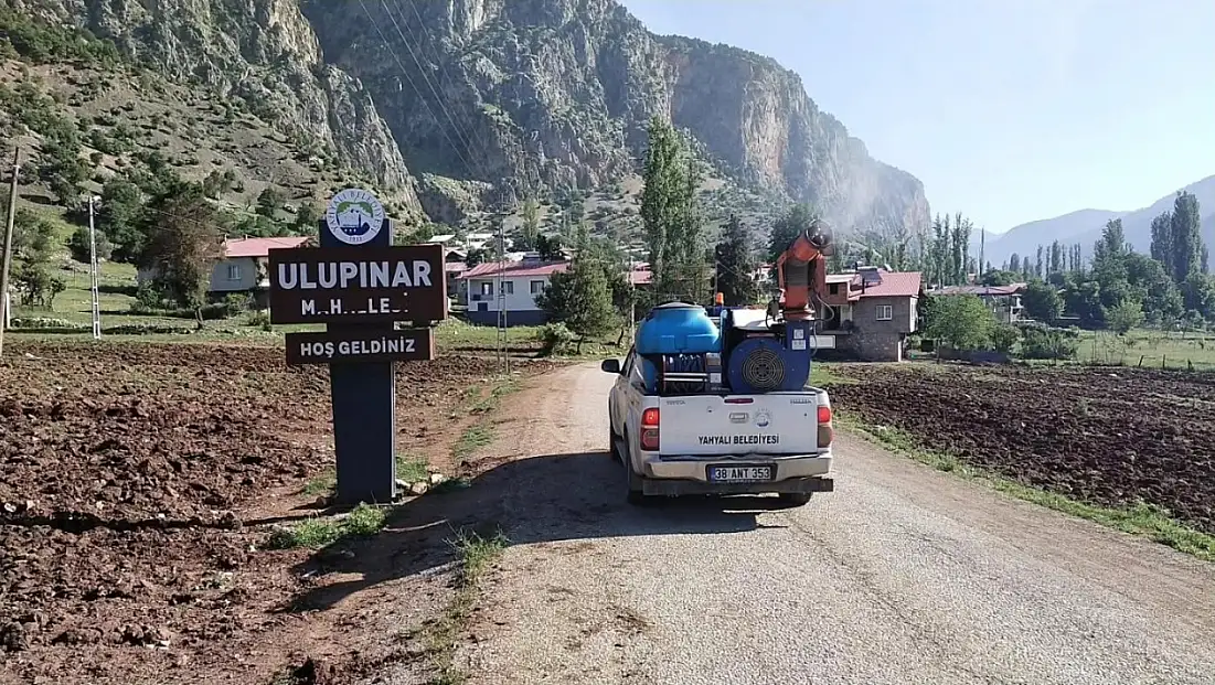 Kırsalda sayıları arttı! Belediye ekipleri seferber oldu